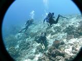 2011-09-05 14-29-41 Steven